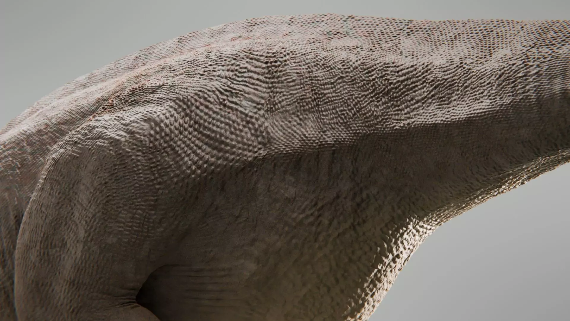 Iguanodon Low-poly 3D model_6