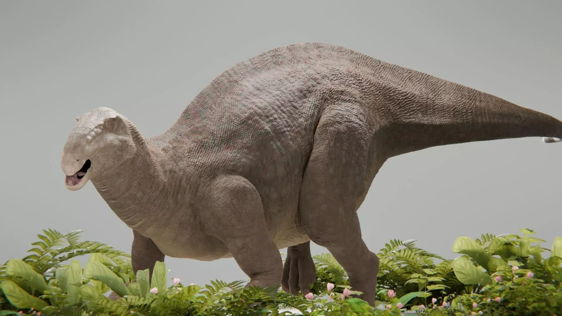 Iguanodon Low-poly 3D model_3