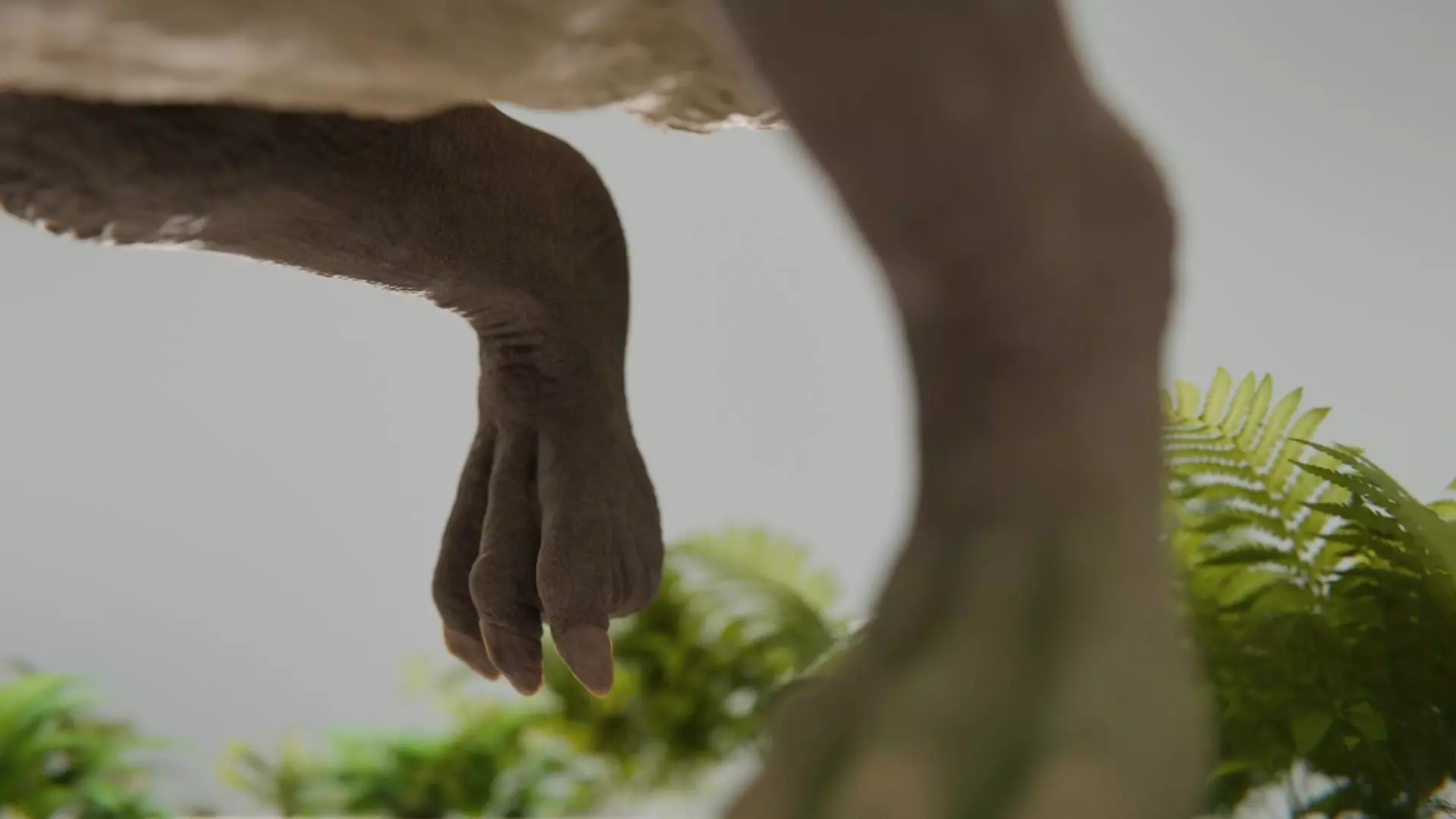 Iguanodon Low-poly 3D model_7