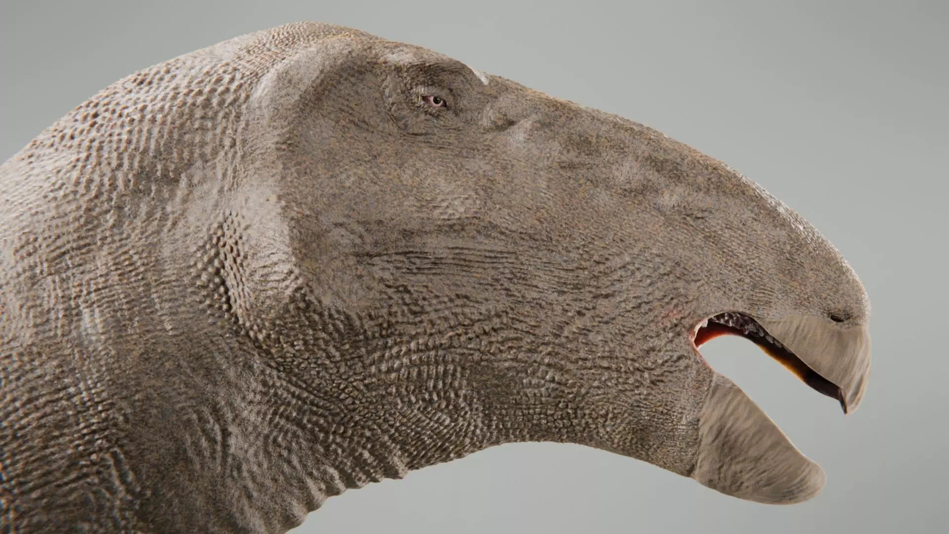 Iguanodon Low-poly 3D model_9