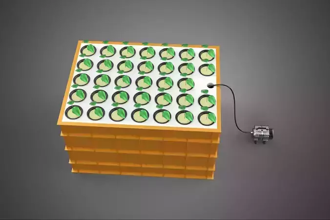 HYDROPONIC AEROPONIC FARM PLANT GARDEN ROOT BOX TRAY NET CUP POT