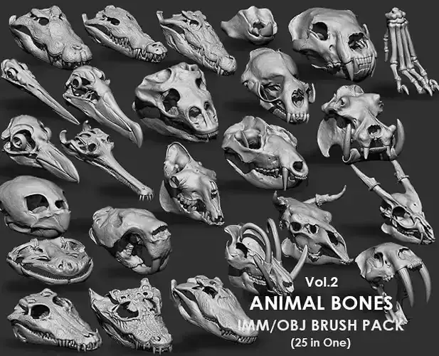 Animal Bones Collection IMM Stl Obj Brush Pack 25 in One Vol 2