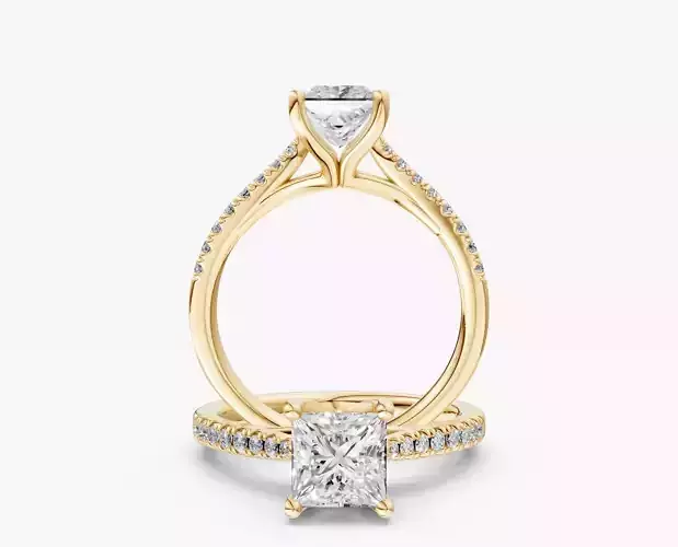 ZABS004B sq ENGAGEMENT