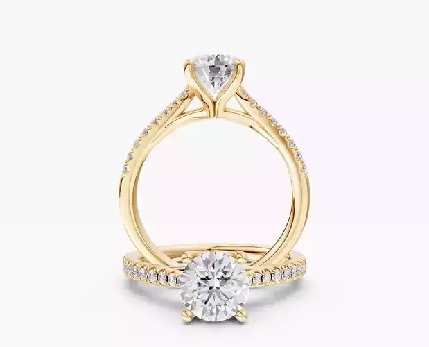 ZABS004B RD ENGAGEMENT