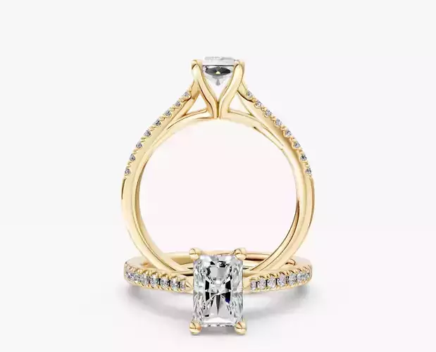 ZABS004B ra ENGAGEMENT