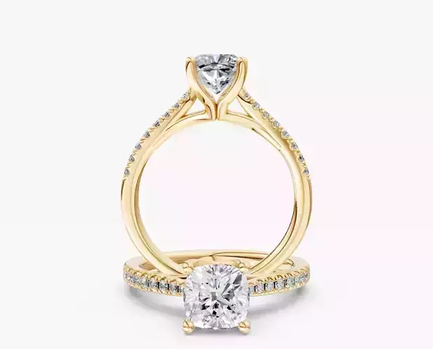 ZABS004B CUS ENGAGEMENT 