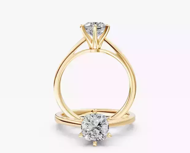 ZABS006A CUS ENGAGEMENT