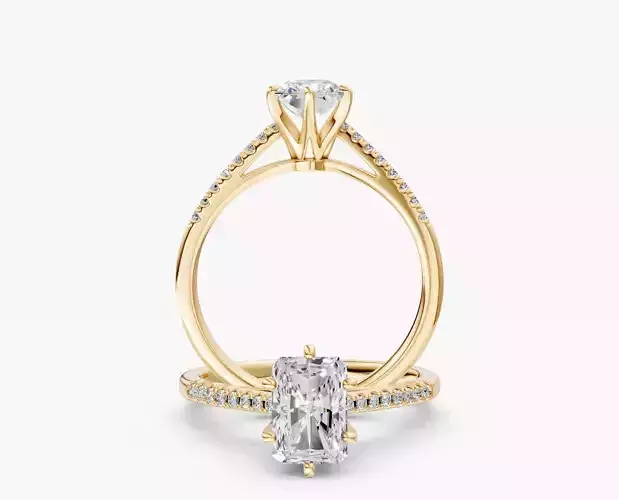 ZABS006B RA ENGAGEMENT