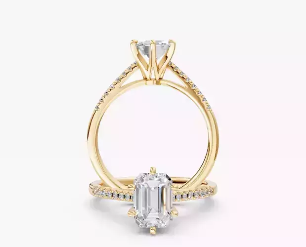 ZABS006B EM ENGAGEMENT