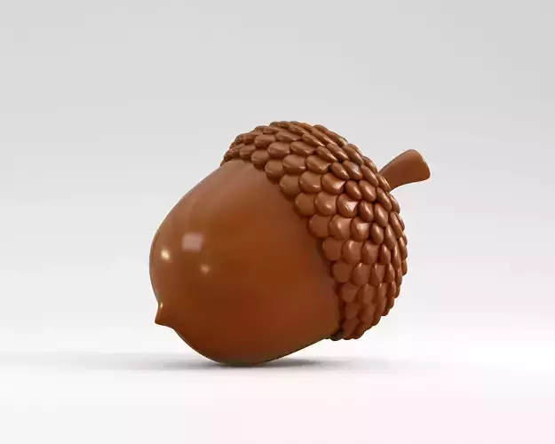 Acorn