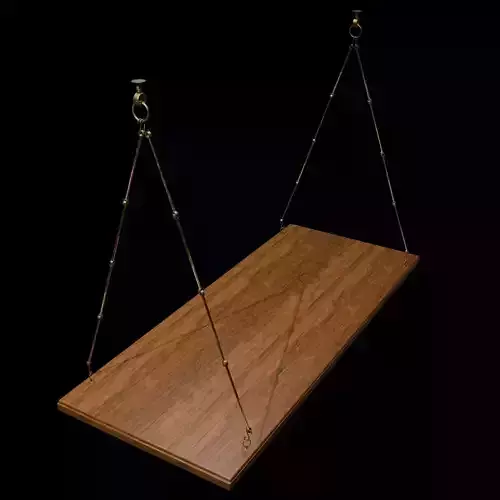 Hanging Indoor Swing Seat