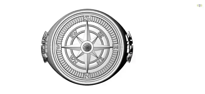 Compass Style man ring