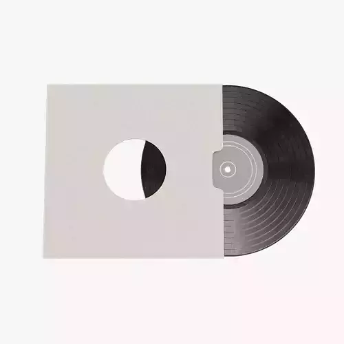Vinyl Record with Sleeve V1 - Classic LP with Plain Cover Set