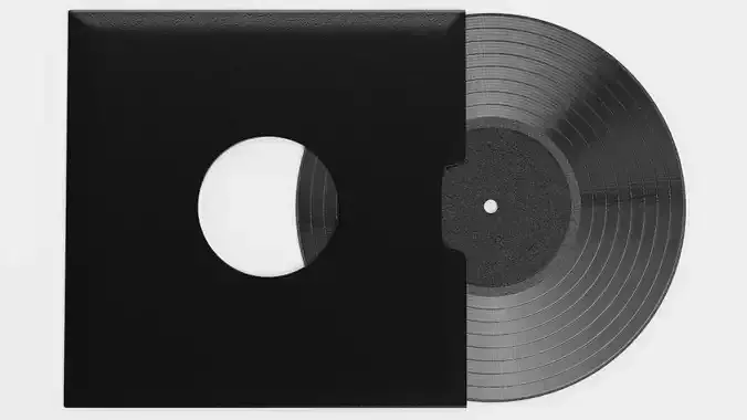 -Vinyl Record with Sleeve V2-
