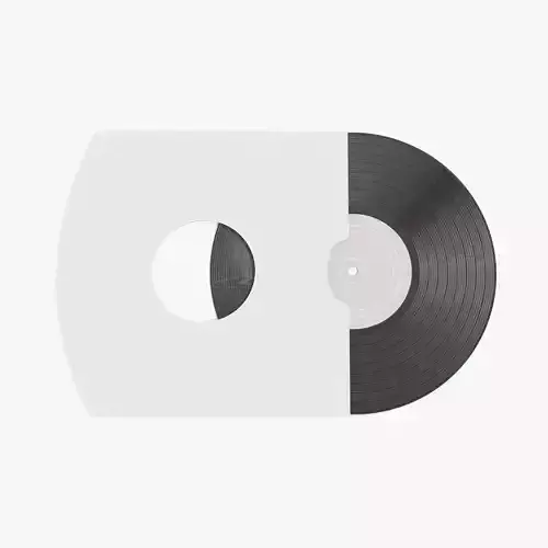 Vinyl Record with Sleeve V3 - Classic LP with Plain Cover Set