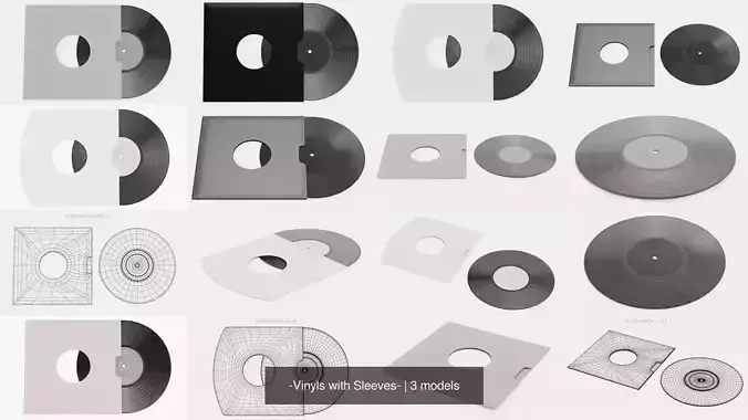 -Vinyls with Sleeves-