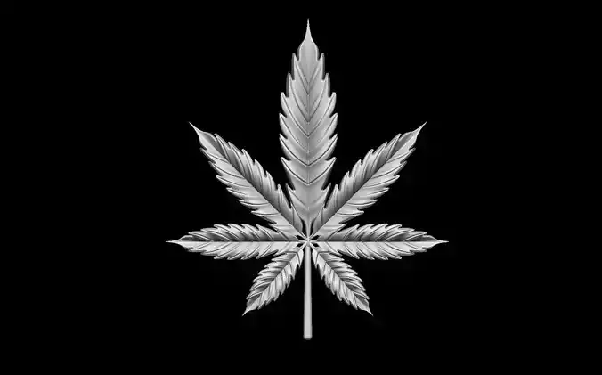 marijuana leaf