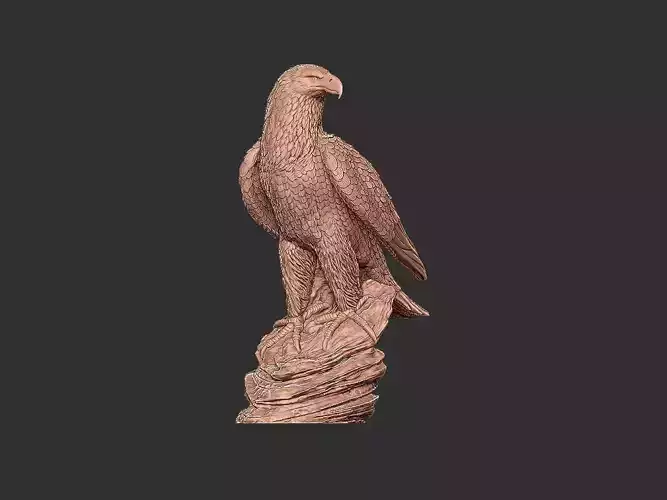  Eagle