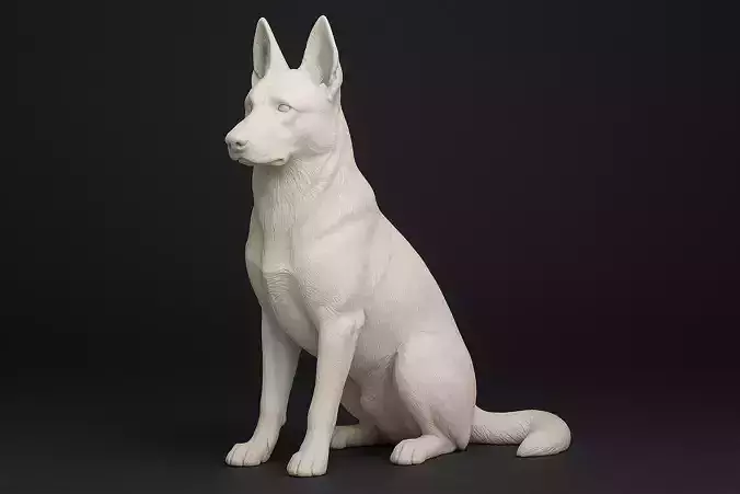 Sitting German Shepherd Dog