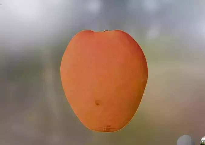 Apricot