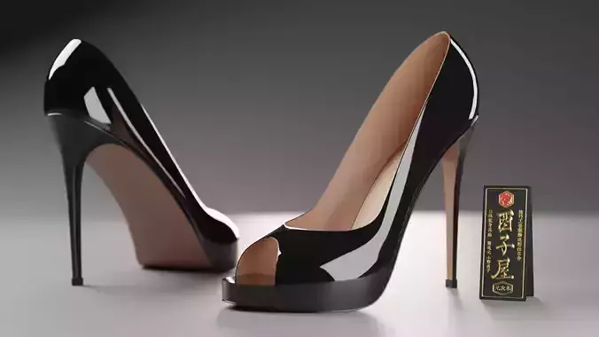 Pumps 05 Two Color Set