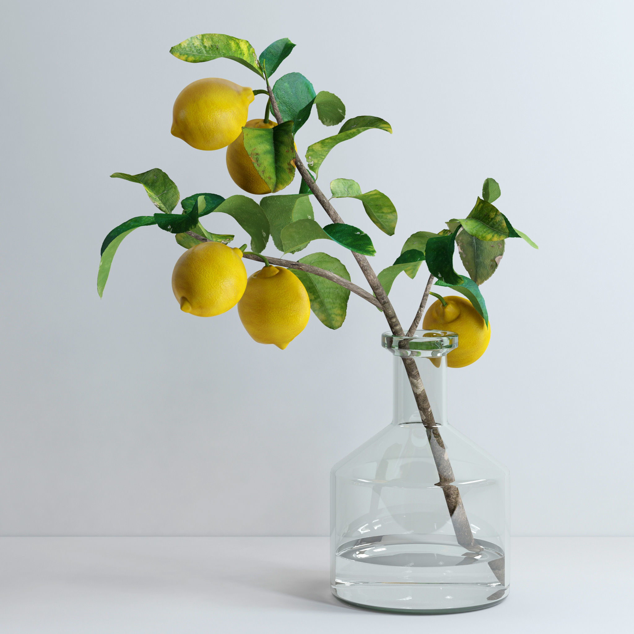 Lemon branch 3D model_1