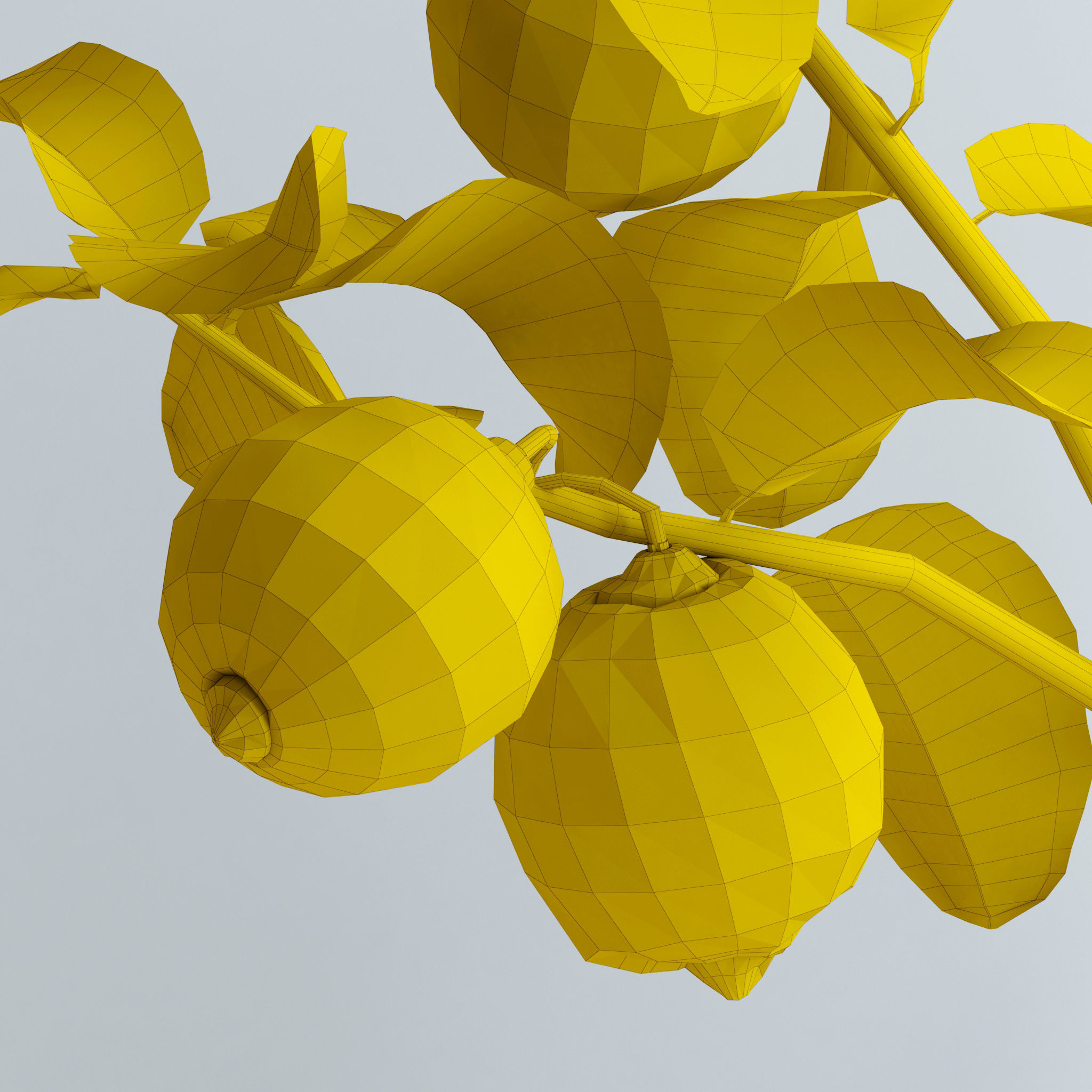 Lemon branch 3D model_10