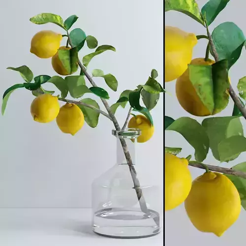Lemon branch