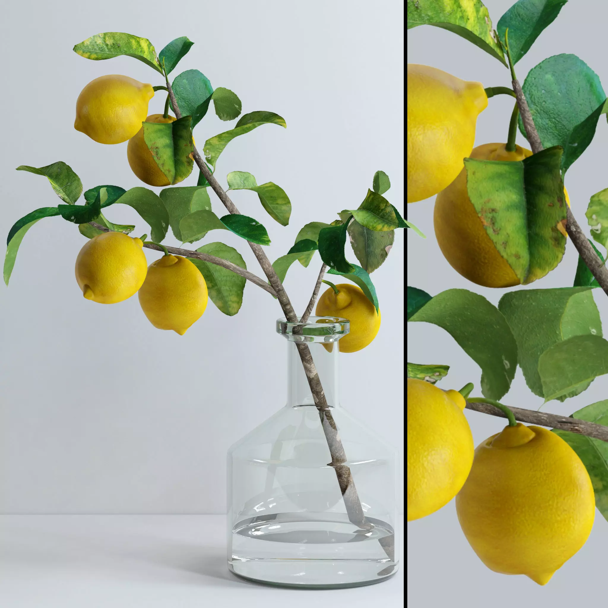Lemon branch 3D model_0