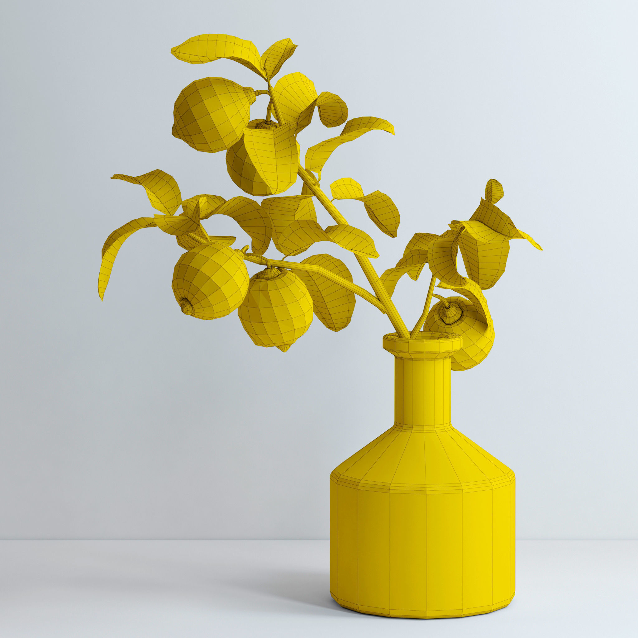 Lemon branch 3D model_9