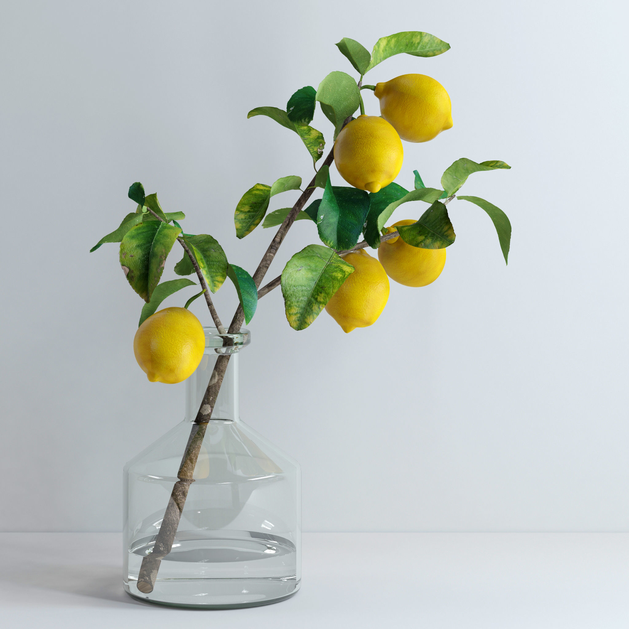 Lemon branch 3D model_5