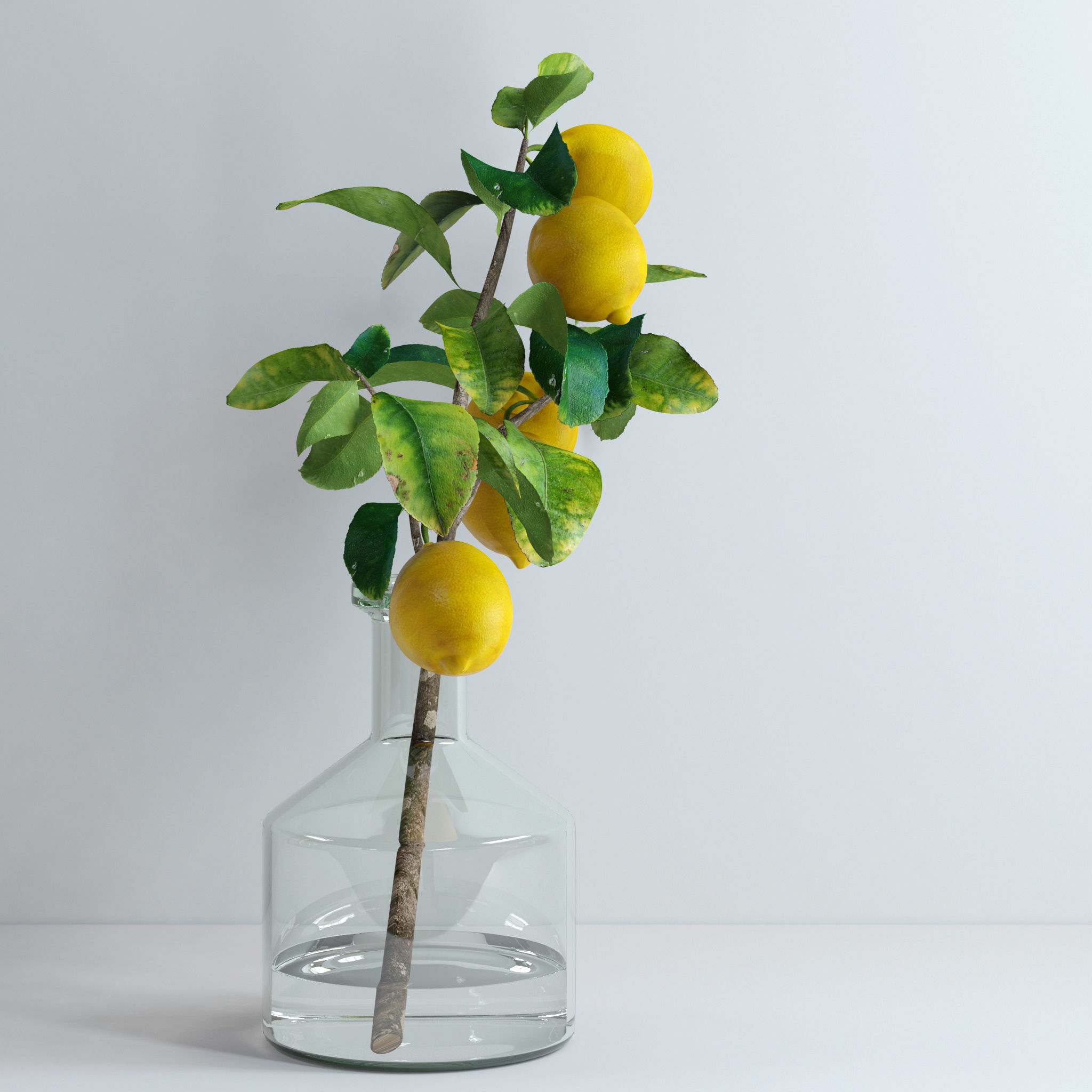 Lemon branch 3D model_4