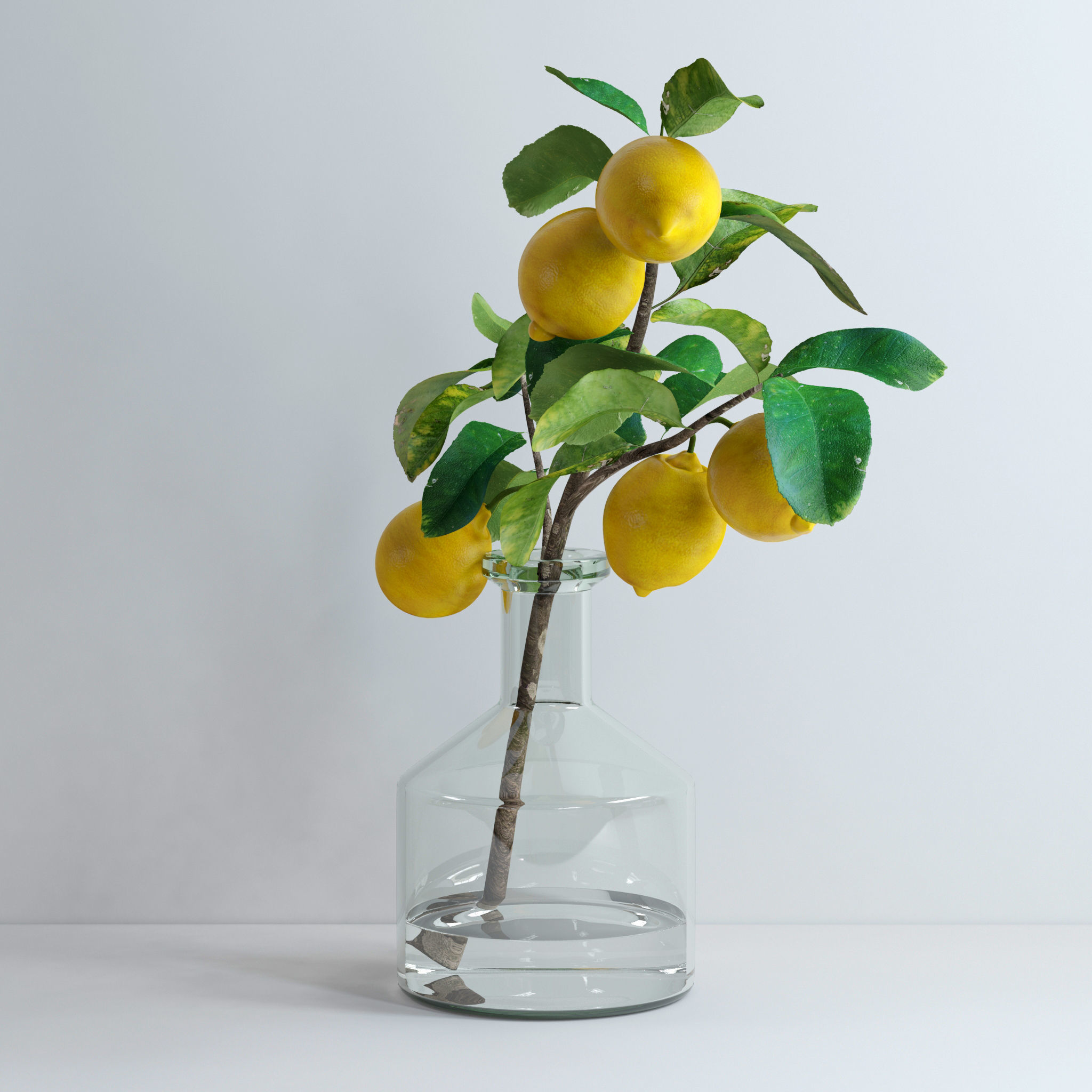 Lemon branch 3D model_6