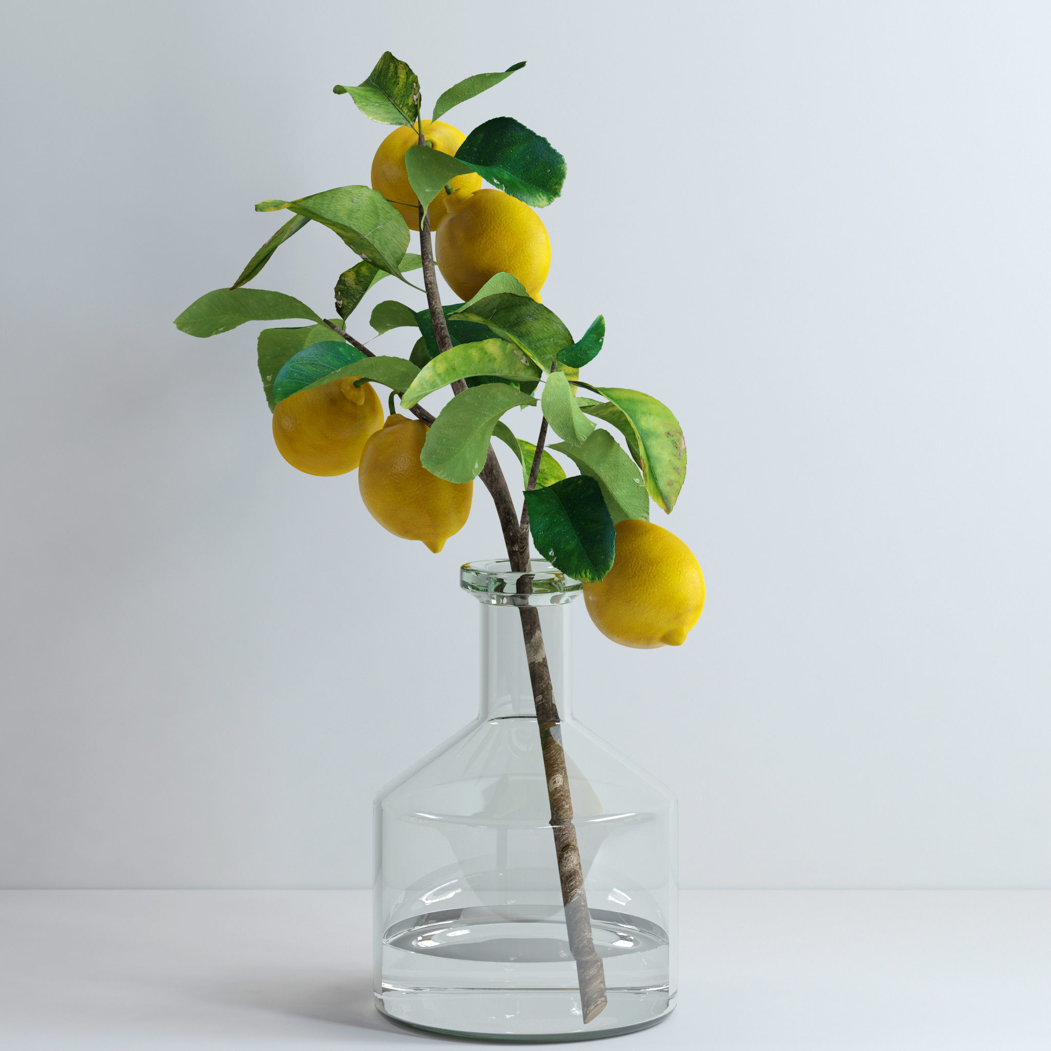 Lemon branch 3D model_3
