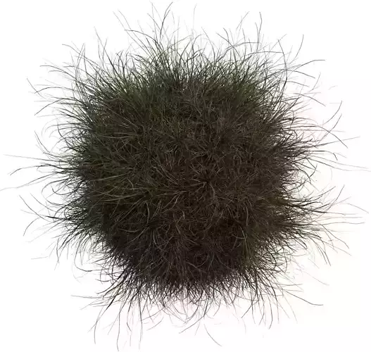 Realistic Wild Grass Clump Pack