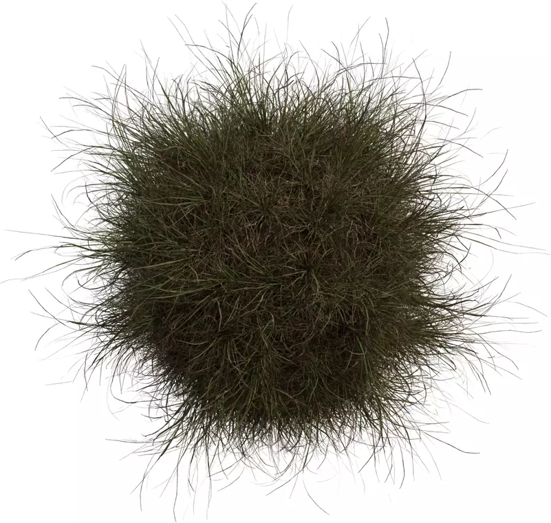 Realistic Wild Grass Clump Pack Low-poly 3D model