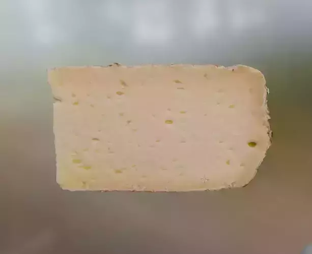 Tomme de Savoie  french cheese 