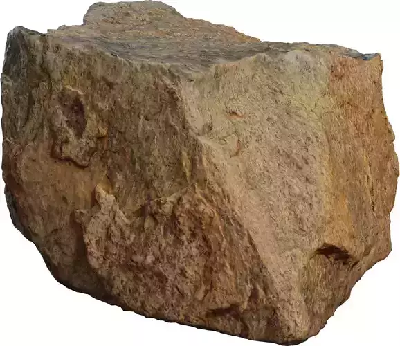  Evergreen Shrub Pack