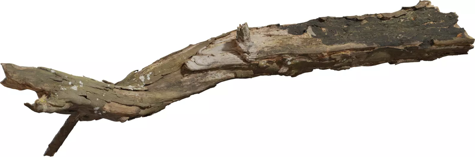 Photoreal Fallen Log Low-poly 3D model