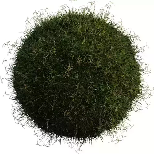 Realistic Lawn Grass Clump Pack