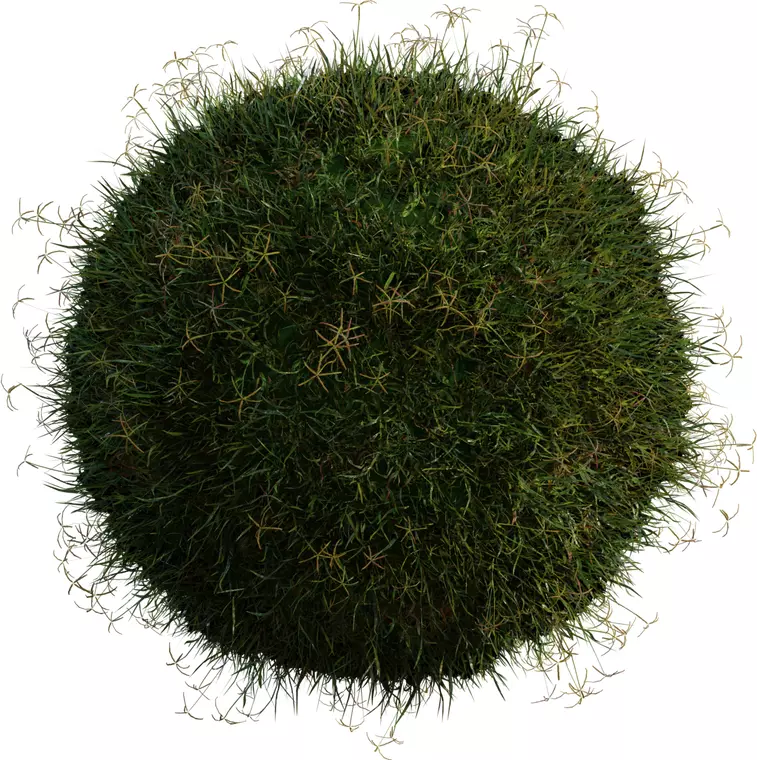 Realistic Lawn Grass Clump Pack Low-poly 3D model