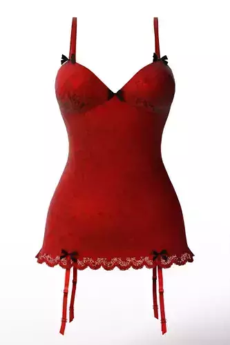 Red Lace Corset Lingerie