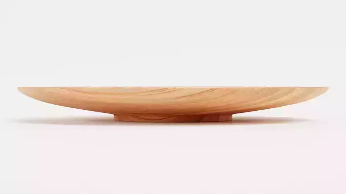 -Bamboo Plate-