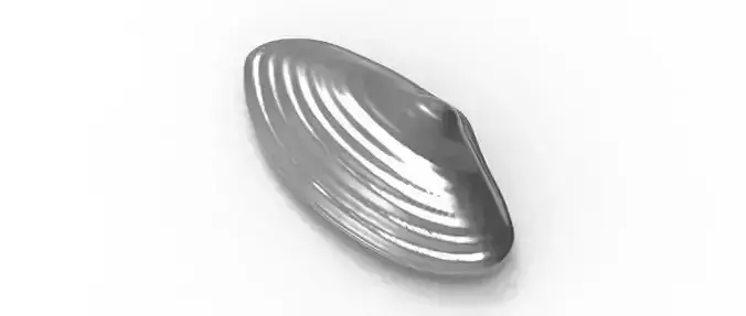 Natural Shell Ocean 3D print model