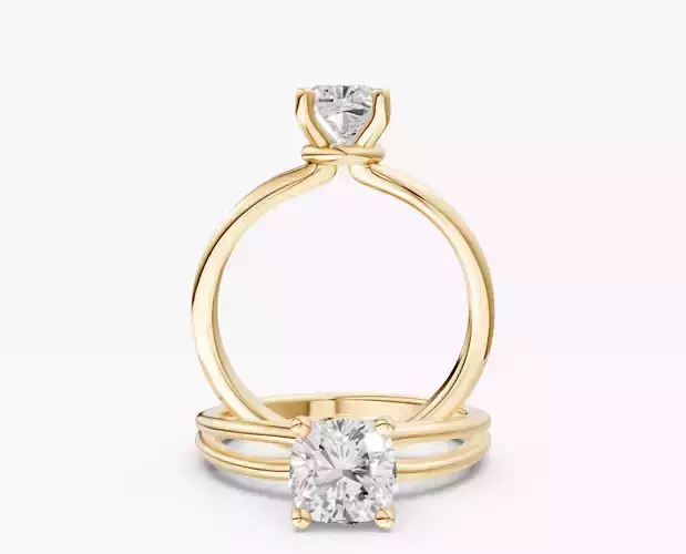 ZABS007 CUS engagement