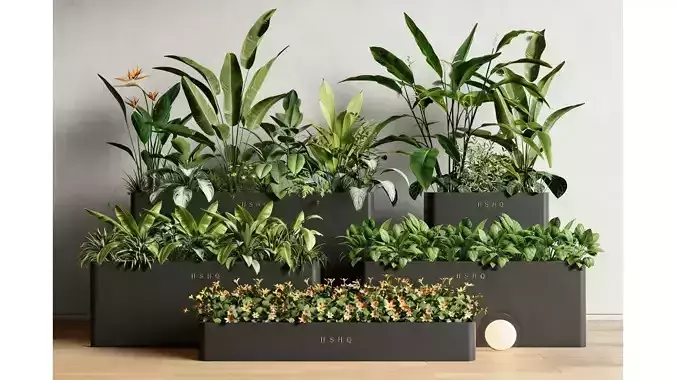 Home Green Plant Matching