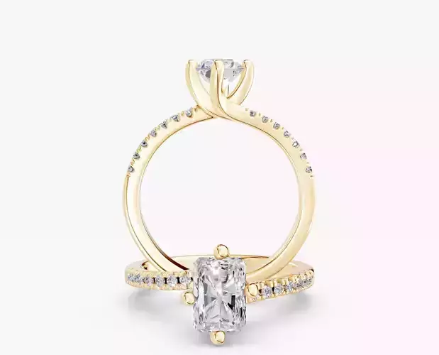 ZABS008B RA ENGAGEMENT