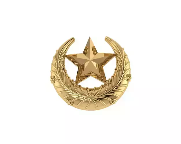 Moon Star Brooches