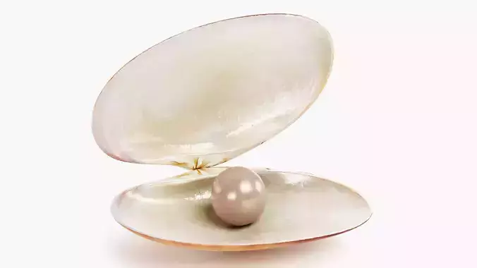 Clam with Pearl V1 - Realistic Slipper Seashell with Gemstone