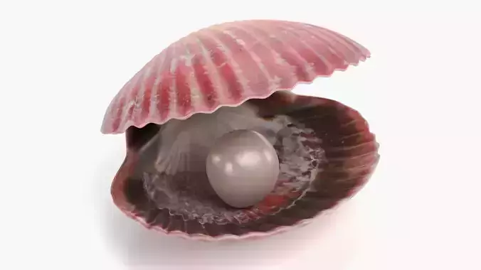 Clam with Pearl V2 - Realistic Scallop Seashell with Gemstone